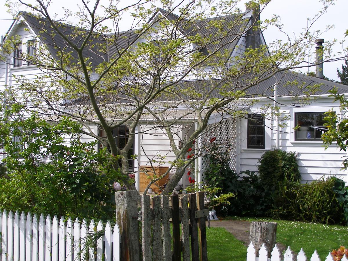 Ashley Villa Bnb 塔卡卡 外观 照片