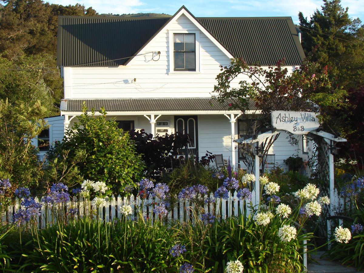 Ashley Villa Bnb 塔卡卡 外观 照片